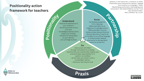 Positionality action framework for teachers